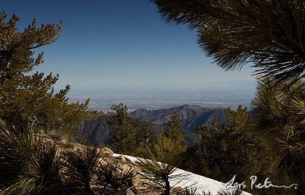 View from Mount Pinos